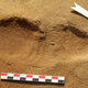A fossilized Neanderthal footprint found at the Le Rozel site in Normandy, France.